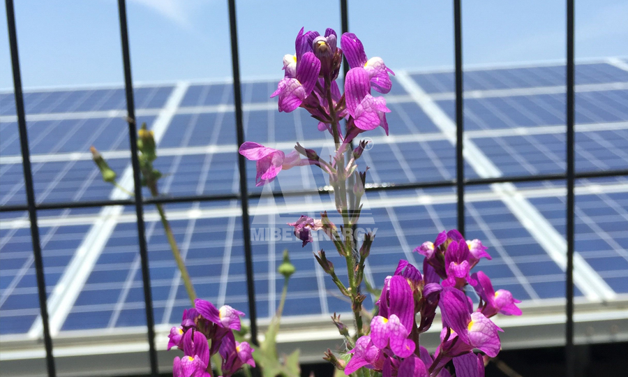 光伏太陽(yáng)能支架