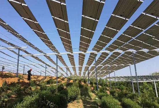 農(nóng)光互補和林光互補有什么區(qū)別？