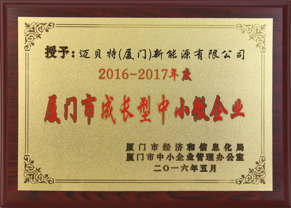 16年成長(zhǎng)型中小微企業(yè).jpg