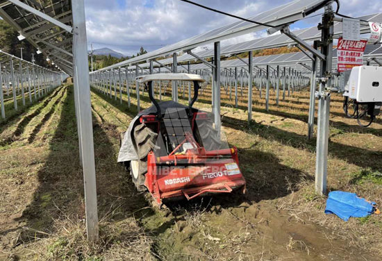 農(nóng)光互補(bǔ)支架系統(tǒng)